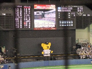 101103_koala.JPG
