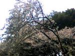 070401_1246~001.jpg