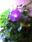070714_1017~001.jpg
